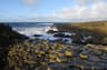 Causeway Coastal Route: Belfast to Derry