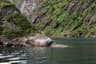 Trollfjord Kayak Norway