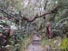 Kinabalu Summit Climb