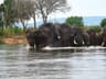 Zambia Lower Zambezi Canoe