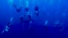Philippines Tubbataha Reef Diving