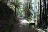 The Old Ghost Road Overnighter