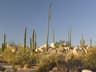 Baja Transpeninsular: Tijuana to Cabo