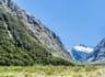 Fiordland Deer Stalking New Zealand
