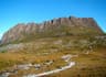 Overland Track