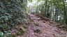 Borneo Kinabalu Summit and Rainforest Traverse