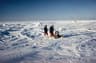 North Pole Last Degree Ski Expedition