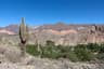 Quebrada Humahuaca Cultural Trek