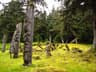 Canada Haida Gwaii Wilderness Trek